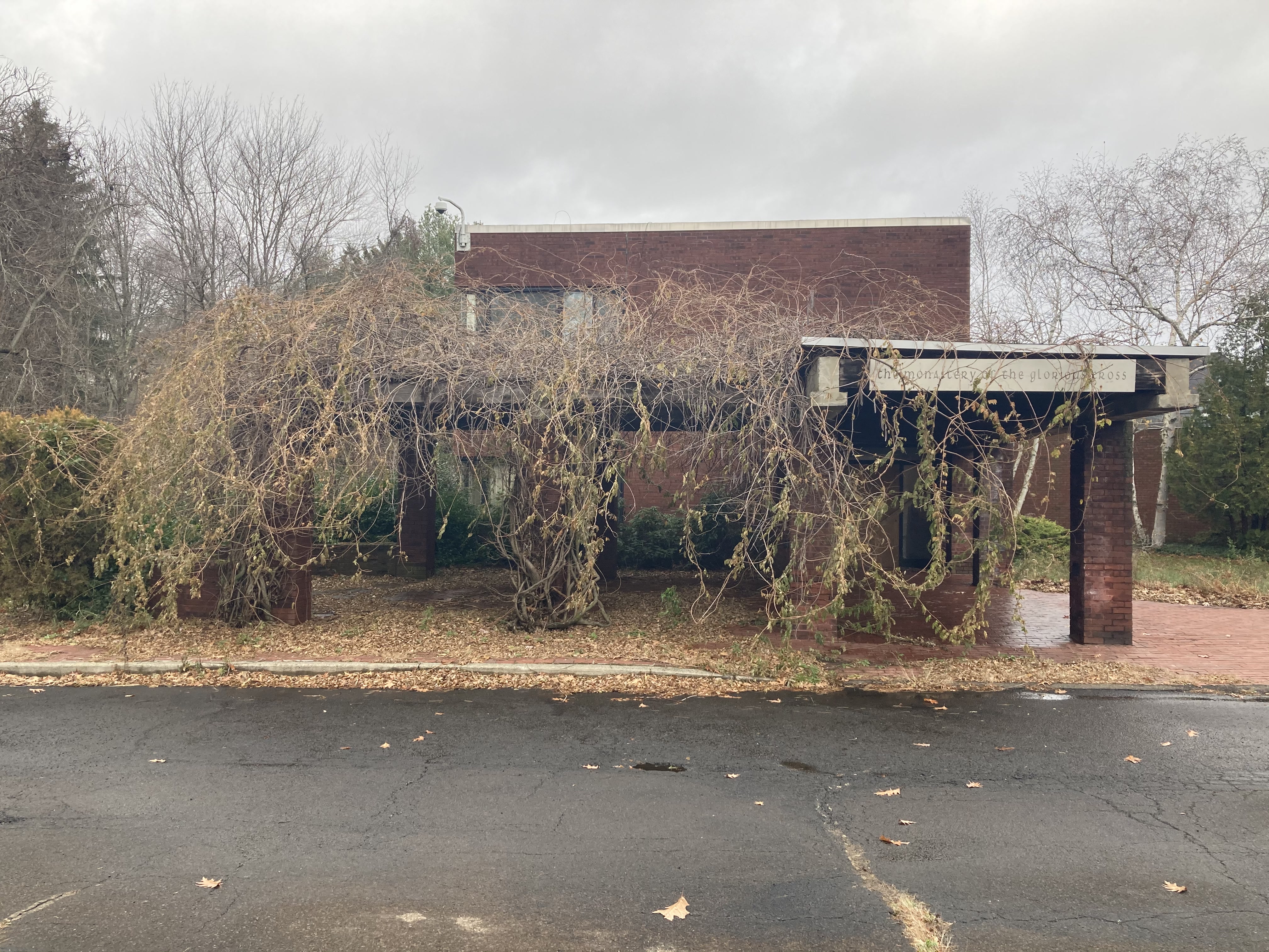 brick building overtaken by weeds and neglect